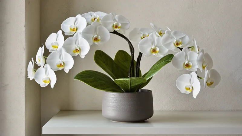 Orchidée artificielle blanche dans un pot en céramique grise mate sur une étagère sobre